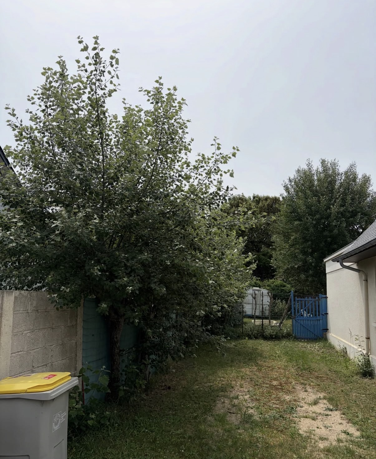 before-image