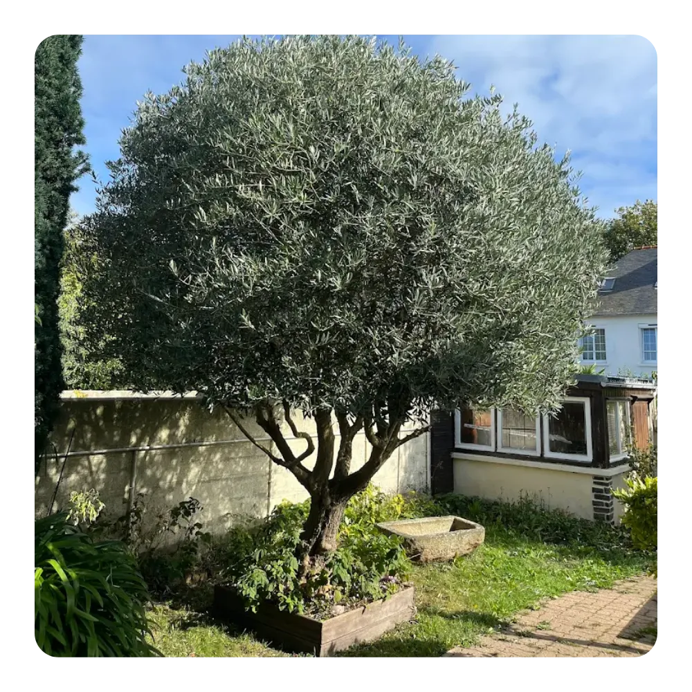 entreprise de terrassement cancale
