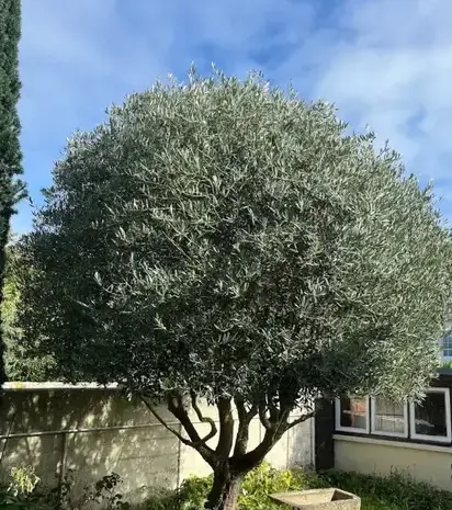 entreprise de terrassement Dinard-5