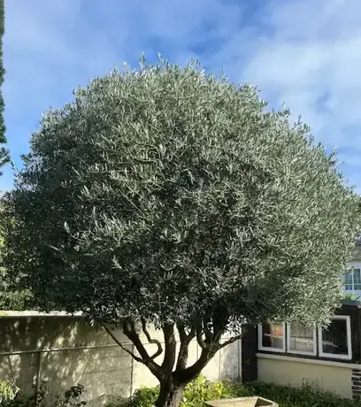 entreprise de terrassement à La Richardais - image 3