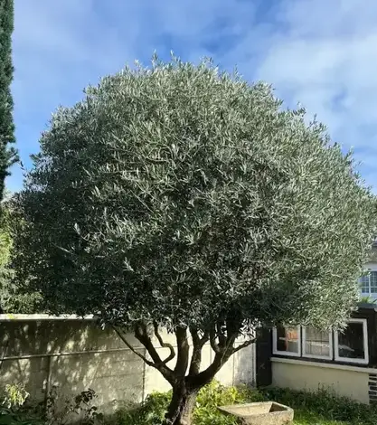 entreprise de terrassement Saint-Briac-sur-Mer-1