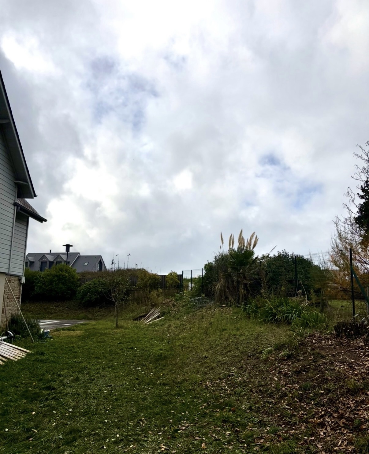 before-image