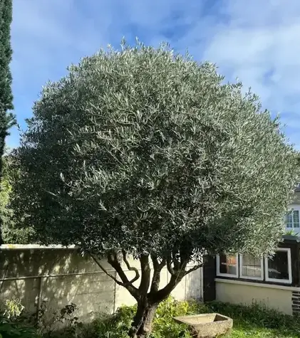entreprise de terrassement à Saint-Lunaire - image 2