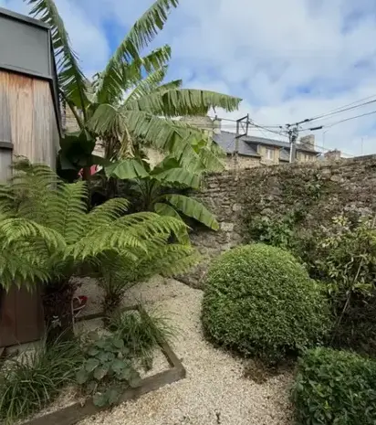 entretien de jardin à Cancale - image 3