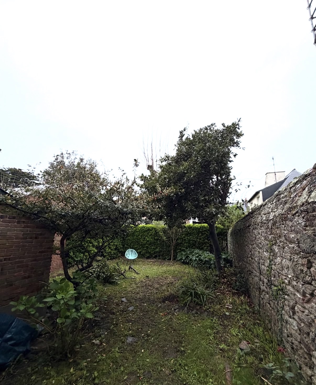 before-image