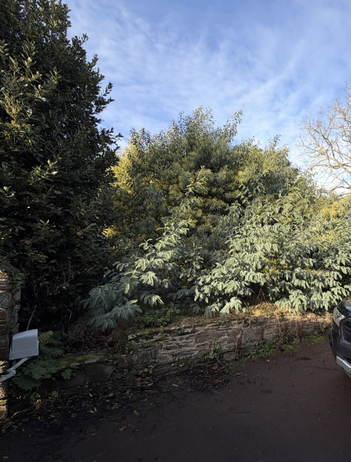 before-image
